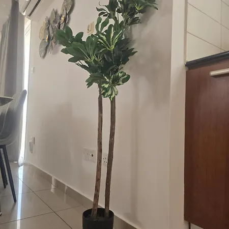 Lazuli Penthouse Center Ap 5 *